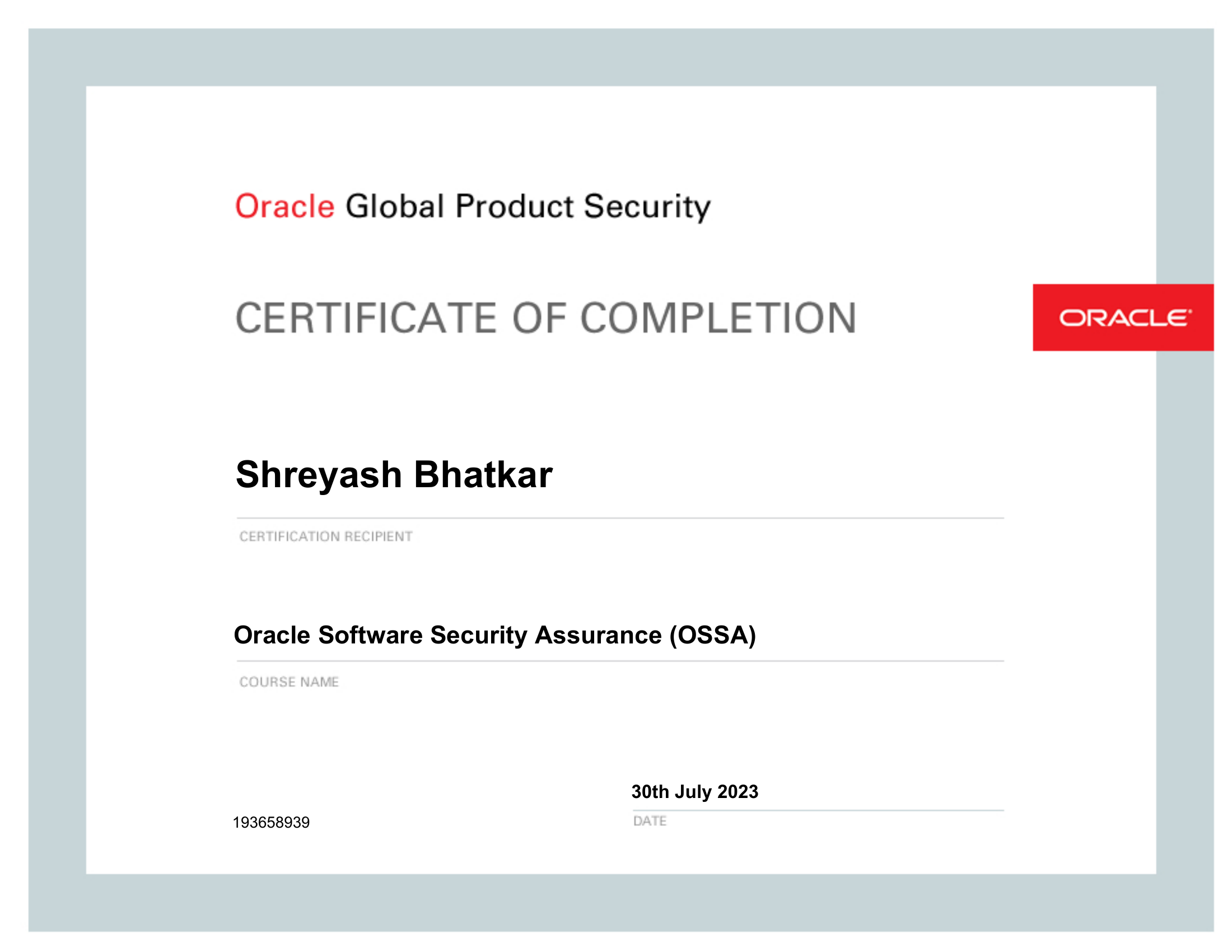 Software Security Assurance